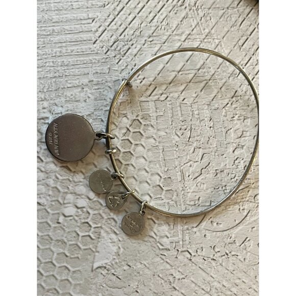 Alex and Ani Silver U.S. Marine Corps Charm Bangle - Picture 7 of 8